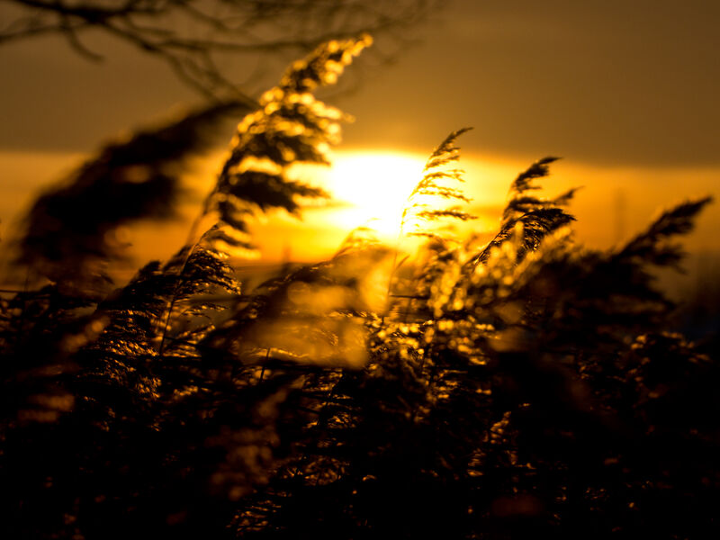 Sonnenuntergang in Ostfriesland